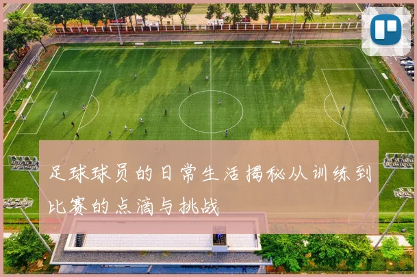 足球球员的日常生活揭秘从训练到比赛的点滴与挑战