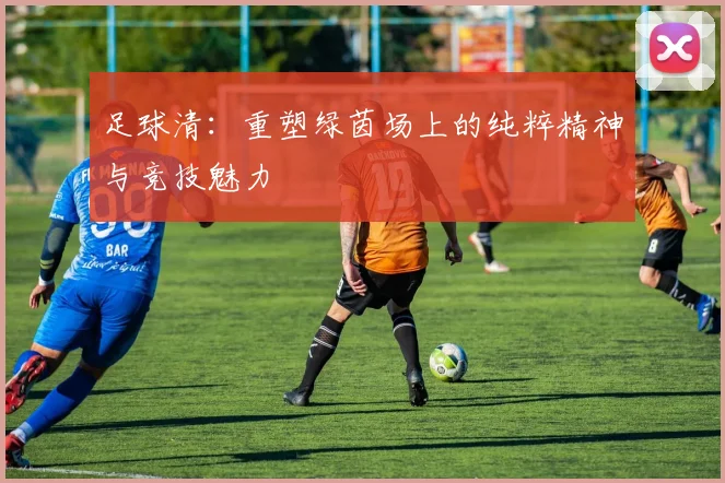 足球清：重塑绿茵场上的纯粹精神与竞技魅力