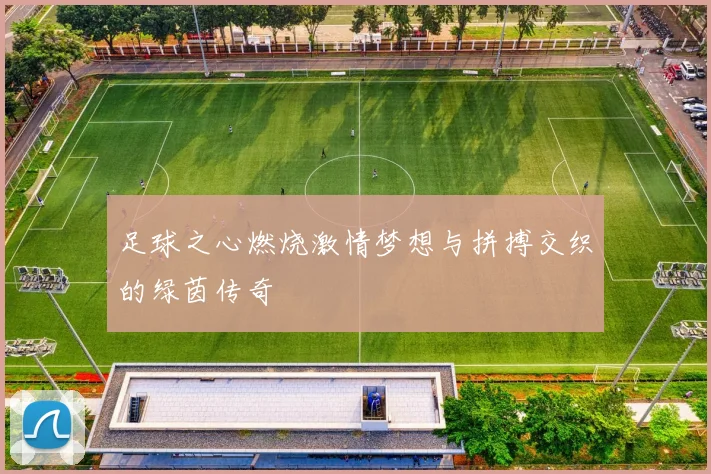 足球之心燃烧激情梦想与拼搏交织的绿茵传奇